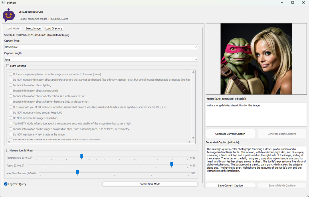 Joy Caption Beta 1