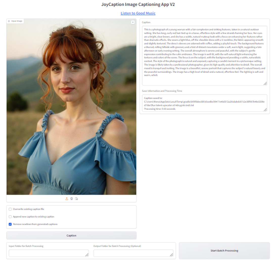 Joy Caption Standard Edition